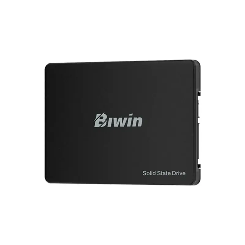 ssd256gbwm100.webp
